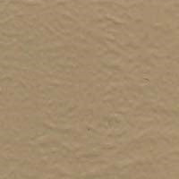 Color Coat Aerosol
