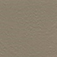 Color Coat Aerosol