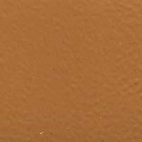 Color Coat Aerosol