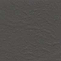 Color Coat Aerosol