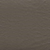 Color Coat Aerosol