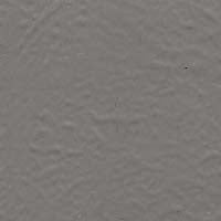 Color Coat Aerosol