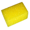 Sure Scrub Sponge